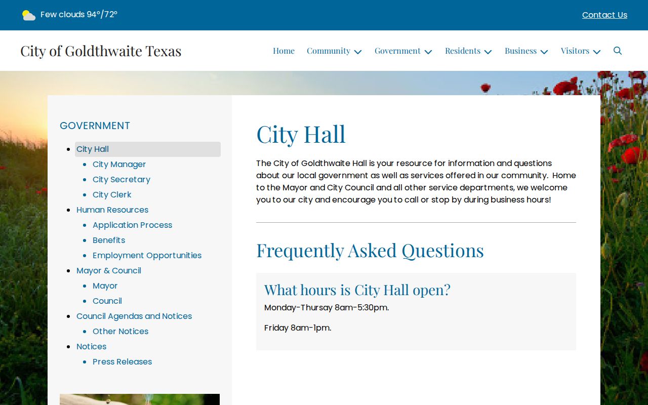 Goldthwaite criminal record request information from the official City Hall page